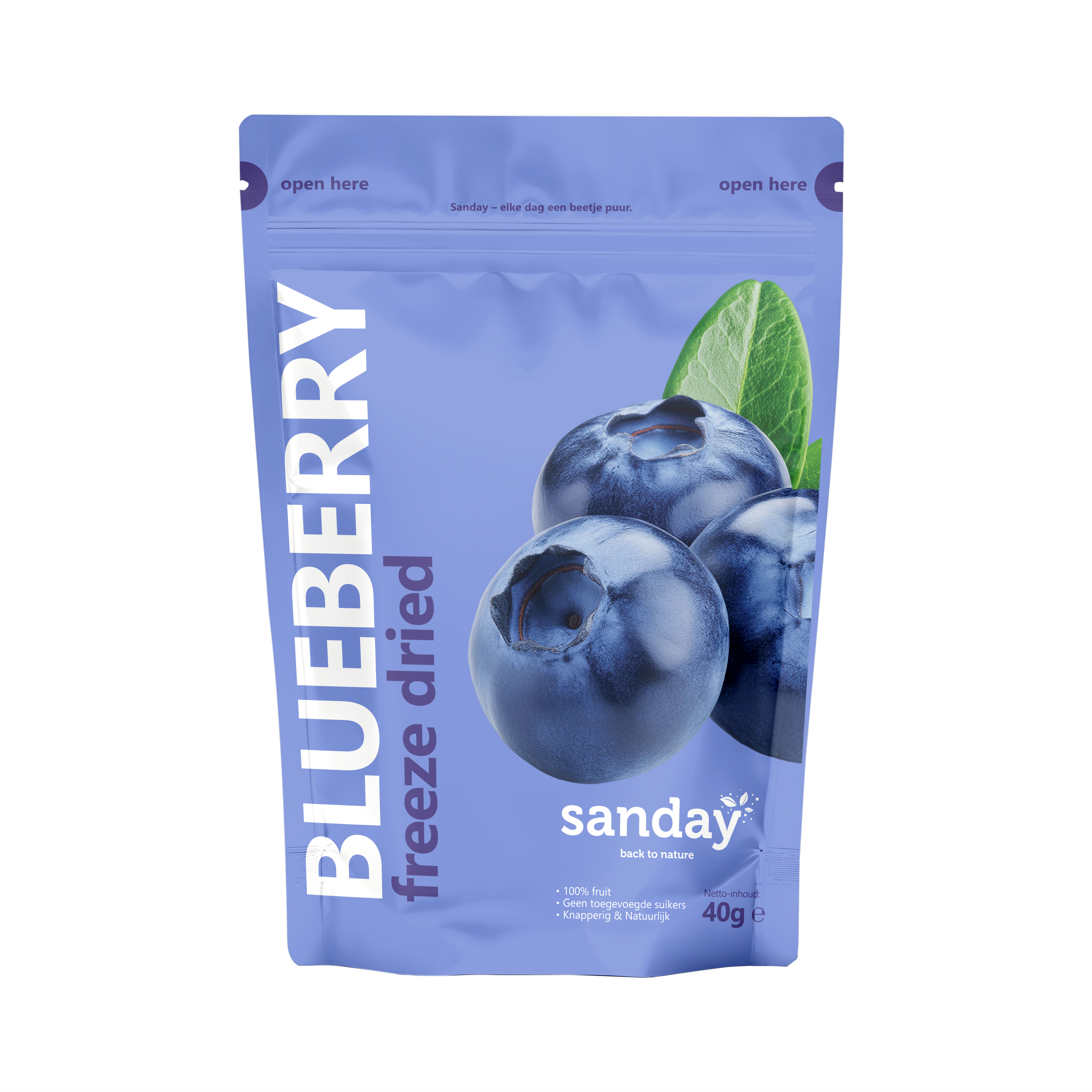 Gevriesdroogd Blue berry